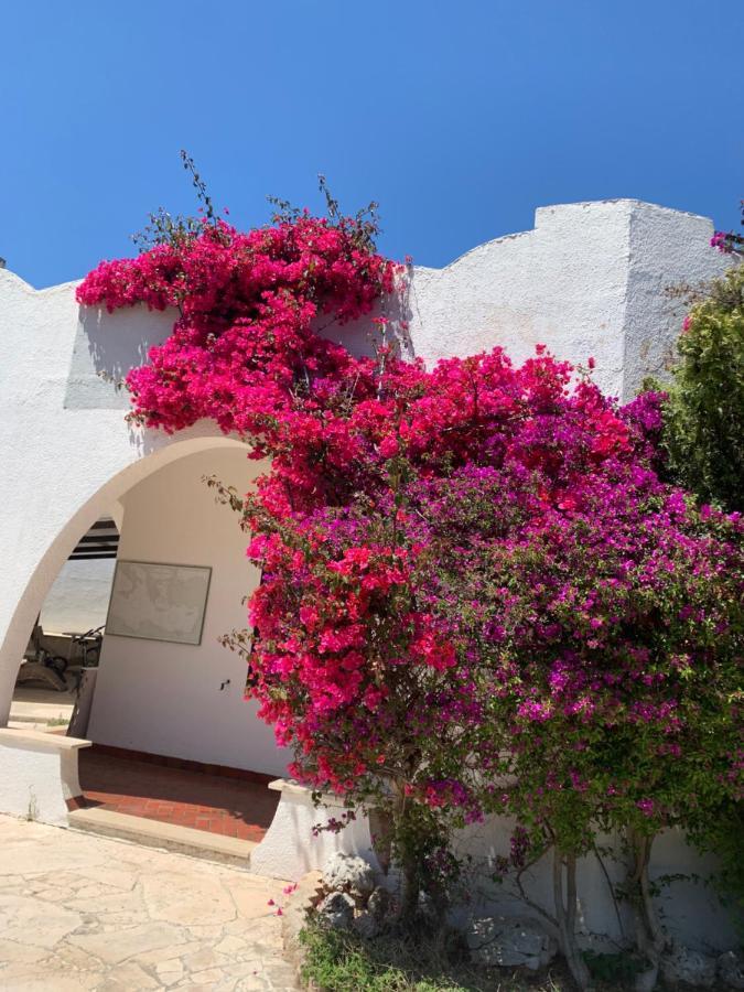 פולינאנו א מארה Villa Cecilia מראה חיצוני תמונה